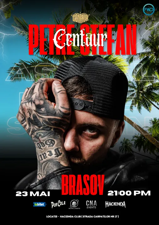 Concert Petre Ștefan