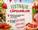 Festivalul Căpșunilor