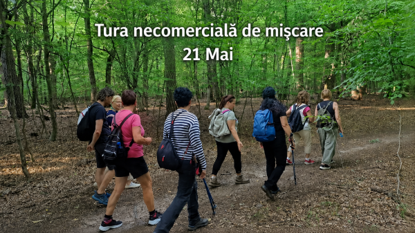 Tura necomerciala de miscare