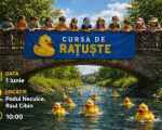 Cursa de rățuște