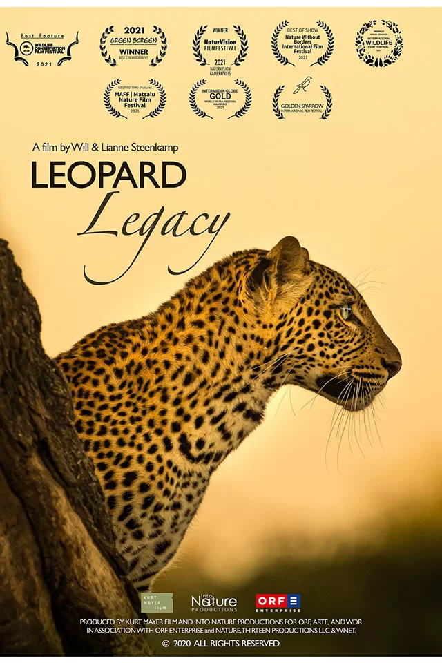 LYNX festival / Leopard Legacy – Moștenirea leopardului / My Otter Diary – Jurnalul vidrei mele