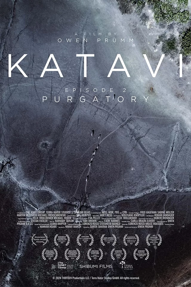 LYNX festival – Katavi / Gladice