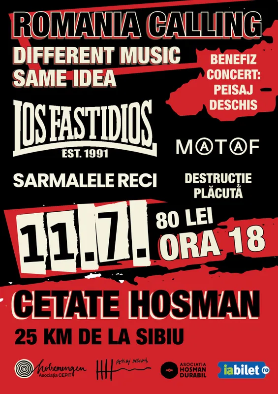 Benefit Concert - Peisaj Deschis