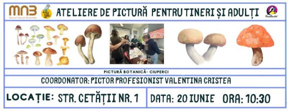 Atelier de pictură pentru tineri și adulți - Ciuperci în acuarelă