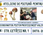 Atelier de pictură pentru tineri și adulți - Ciuperci în acuarelă
