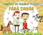 Fără Zahăr | Concert