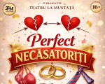 Perfect Necăsătoriți
