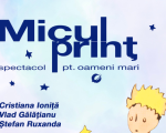 Micul Prinț - spectacol pentru oameni mari
