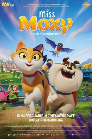 Filmul "Miss Moxy"