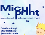 Micul Prinț - spectacol pentru oameni mari