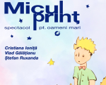 Micul Prinț - spectacol pentru oameni mari