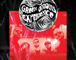 Concert Green Onions Experience