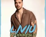 Concert Liviu Teodorescu