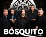 Concert Bosquito