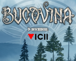 Concert Bucovina