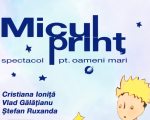 Micul Prinț - spectacol pentru oameni mari