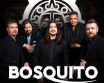 Concert Bosquito