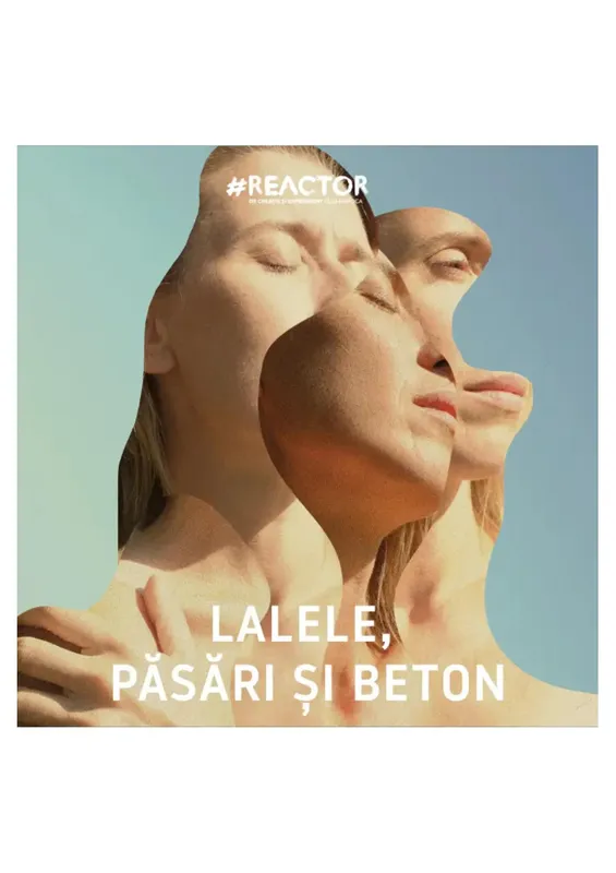 Lalele, păsări și beton