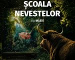 „Școala nevestelor”, regia Cristi Juncu