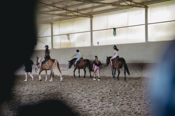 Final de proiect Caiac SMile la Cluj: peste 450 de persoane au spus da sportului fara bariere