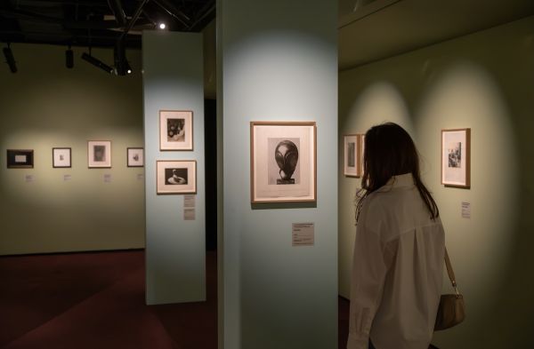 Art Safari New Museum: Sezon nou