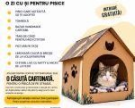 ZAPP #6 - Ziua Adopției Pisicilor PAN