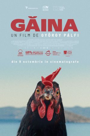 Filmul "Găina"