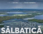 Filmul "Delta sălbatică"