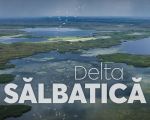 Filmul "Delta sălbatică"