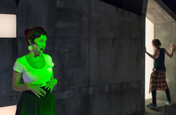 Spectacolul "Pisica verde"